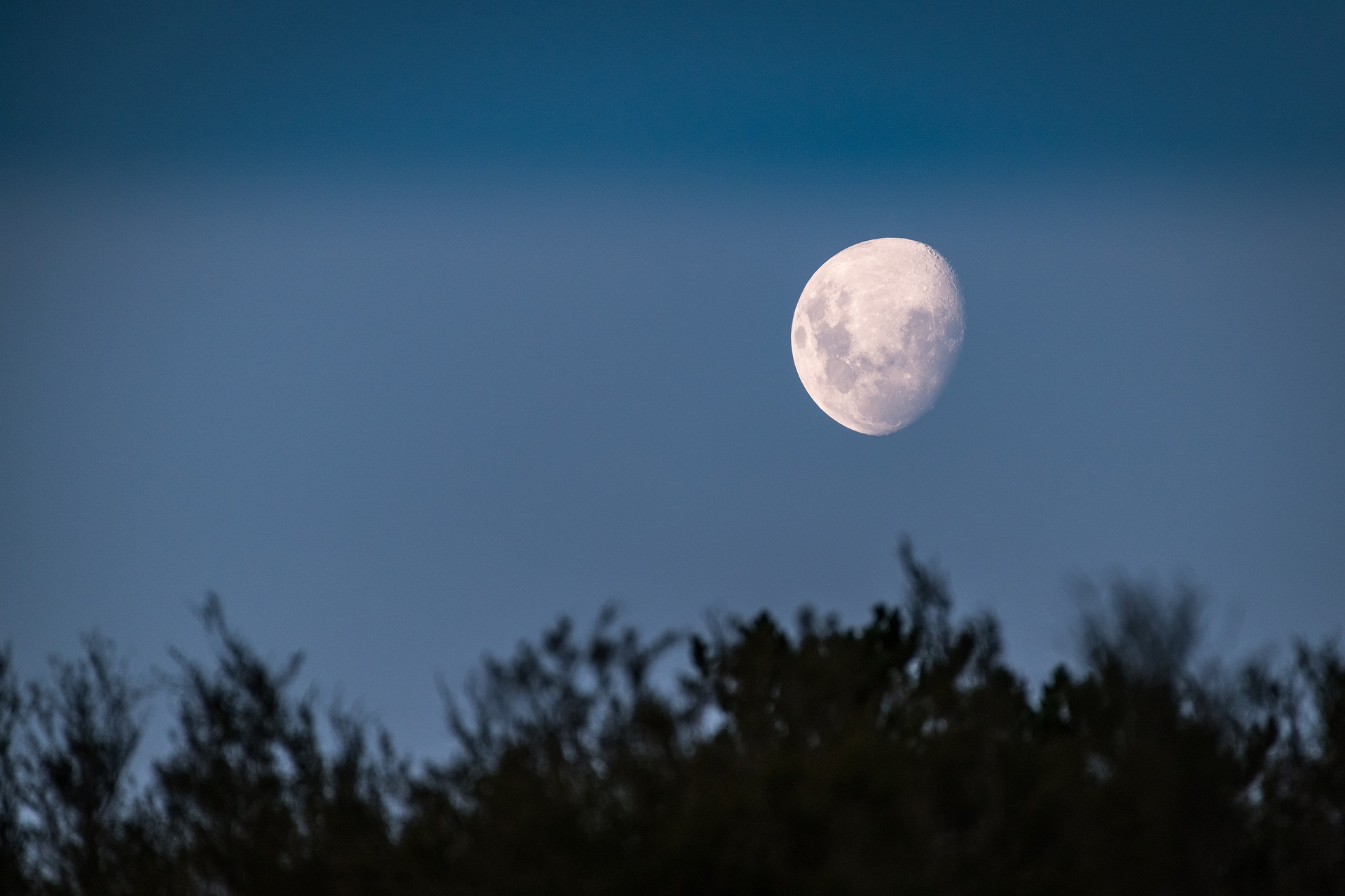 L’observation astronomique, une activité à envisager pour vos enfants