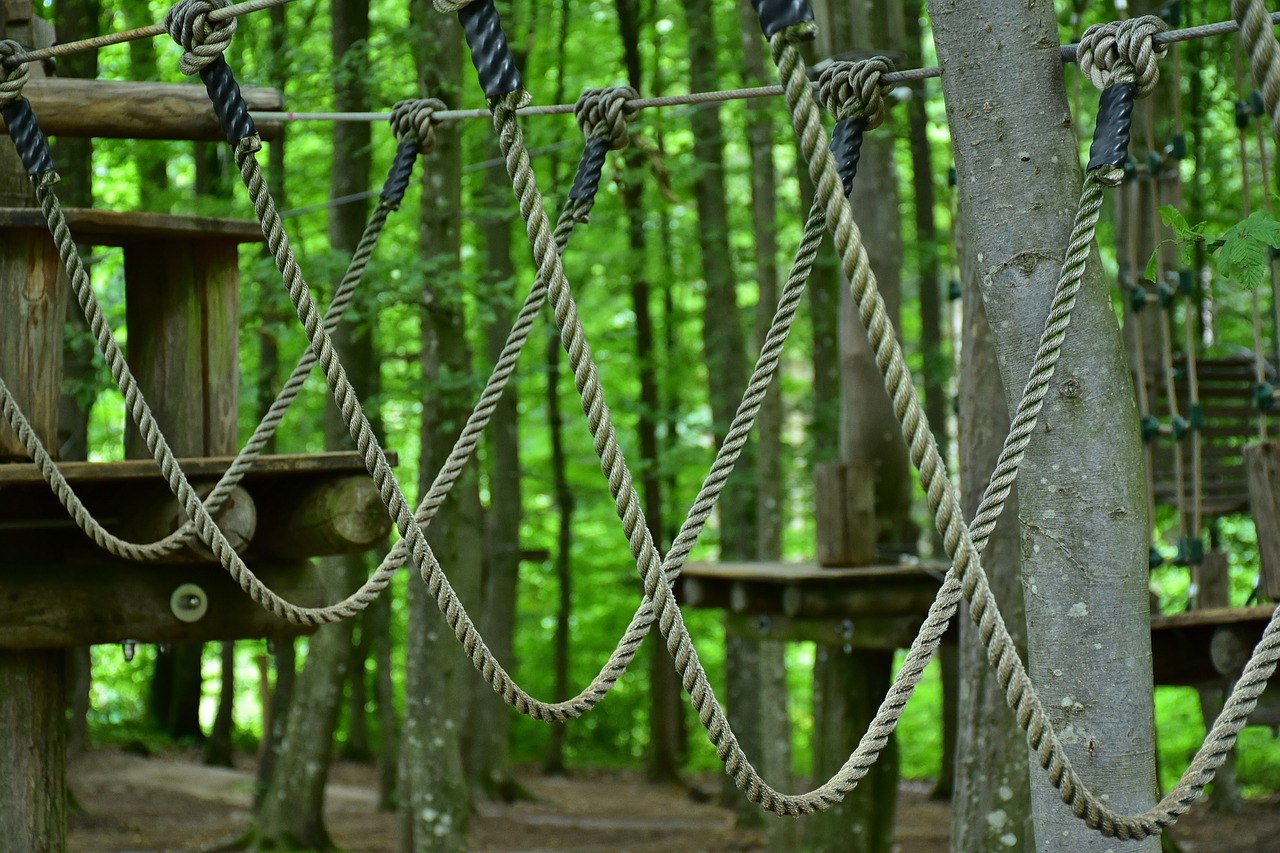 Les avantages de l’accrobranche pour la santé et le bien-être